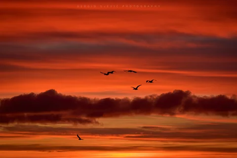 amanecer